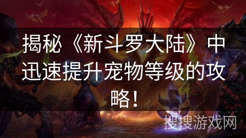 揭秘《新斗罗大陆》中迅速提升宠物等级的攻略！