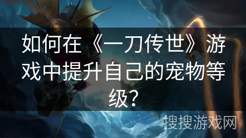 如何在《一刀传世》游戏中提升自己的宠物等级？