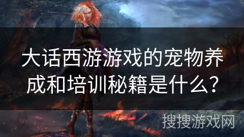 大话西游游戏的宠物养成和培训秘籍是什么？