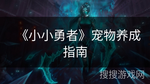 《小小勇者》宠物养成指南