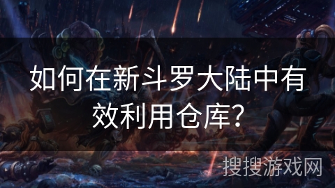 如何在新斗罗大陆中有效利用仓库？