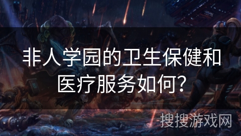 非人学园的卫生保健和医疗服务如何？