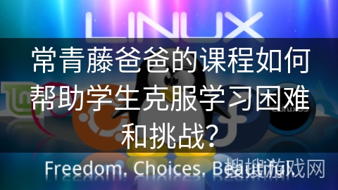 常青藤爸爸的课程如何帮助学生克服学习困难和挑战？