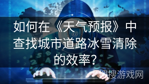 如何在《天气预报》中查找城市道路冰雪清除的效率？