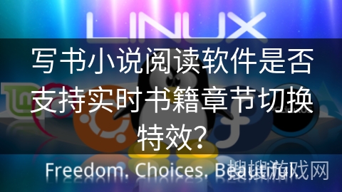 写书小说阅读软件是否支持实时书籍章节切换特效？