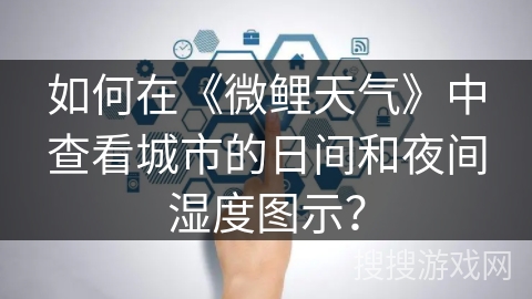 如何在《微鲤天气》中查看城市的日间和夜间湿度图示？