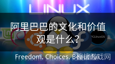 阿里巴巴的文化和价值观是什么？