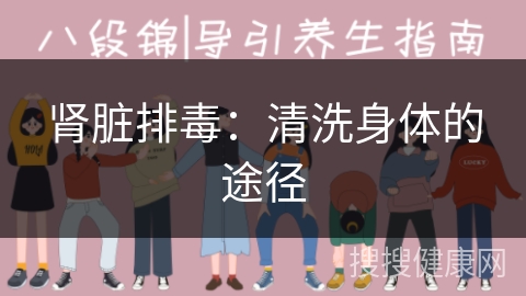 肾脏排毒：清洗身体的途径