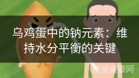 乌鸡蛋中的钠元素：维持水分平衡的关键