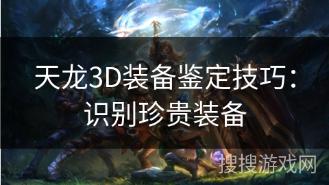 天龙3D装备鉴定技巧：识别珍贵装备