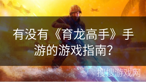 有没有《育龙高手》手游的游戏指南？