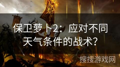 保卫萝卜2：应对不同天气条件的战术？