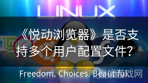 《悦动浏览器》是否支持多个用户配置文件？
