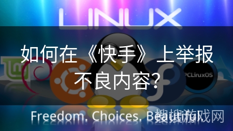 如何在《快手》上举报不良内容？