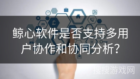 鲸心软件是否支持多用户协作和协同分析？