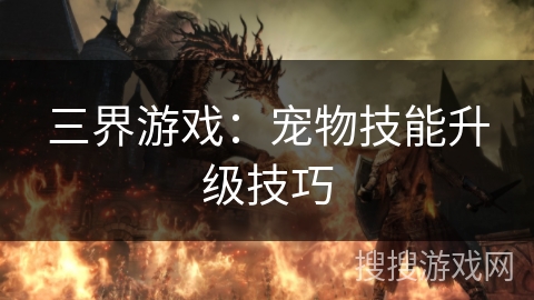 三界游戏：宠物技能升级技巧