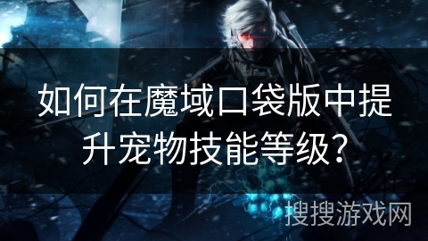 如何在魔域口袋版中提升宠物技能等级？