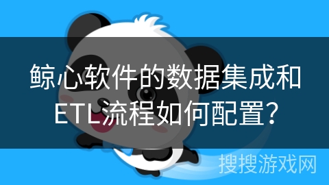 鲸心软件的数据集成和ETL流程如何配置？