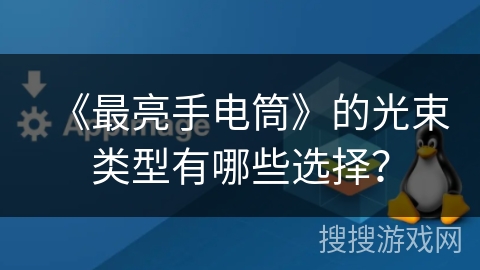 《最亮手电筒》的光束类型有哪些选择？