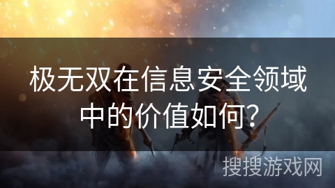 极无双在信息安全领域中的价值如何？