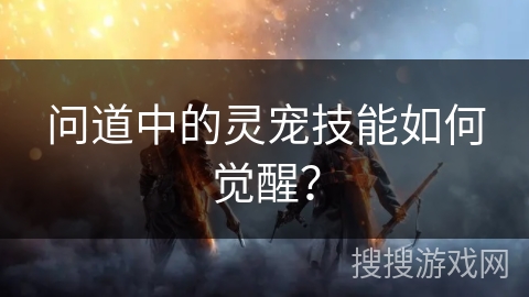 问道中的灵宠技能如何觉醒？