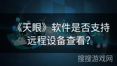 《天眼》软件是否支持远程设备查看？