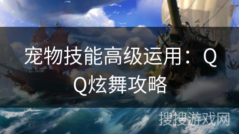 宠物技能高级运用：QQ炫舞攻略