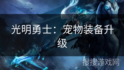光明勇士：宠物装备升级