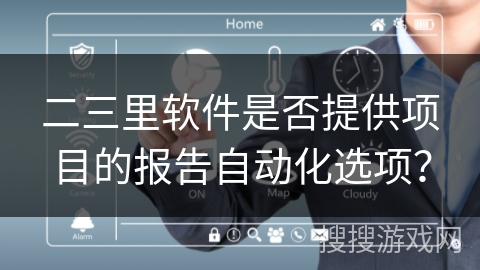 二三里软件是否提供项目的报告自动化选项？