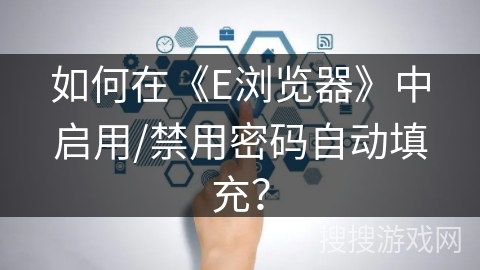 如何在《E浏览器》中启用/禁用密码自动填充？
