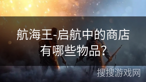 航海王-启航中的商店有哪些物品？