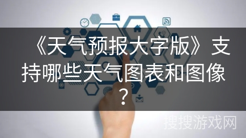 《天气预报大字版》支持哪些天气图表和图像？