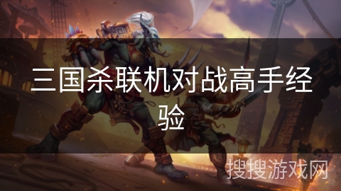 三国杀联机对战高手经验