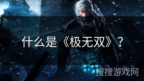 什么是《极无双》？