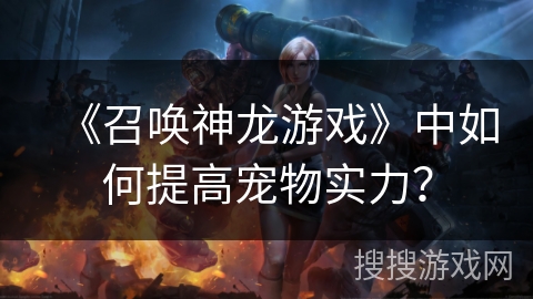 《召唤神龙游戏》中如何提高宠物实力？