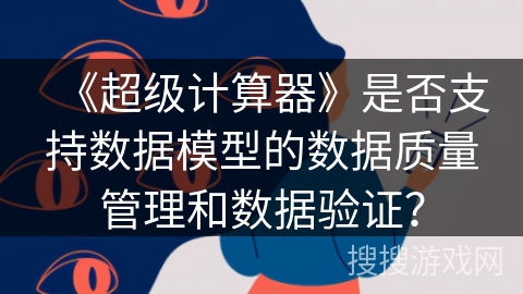 《超级计算器》是否支持数据模型的数据质量管理和数据验证？