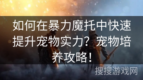 如何在暴力魔托中快速提升宠物实力？宠物培养攻略！
