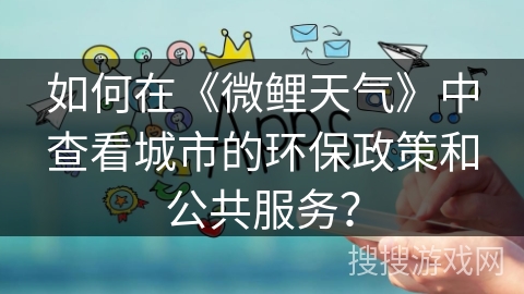如何在《微鲤天气》中查看城市的环保政策和公共服务？