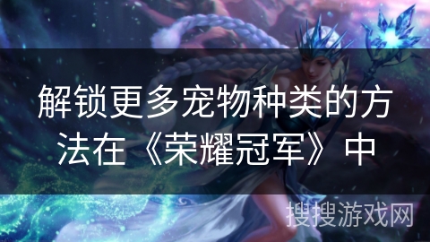 解锁更多宠物种类的方法在《荣耀冠军》中