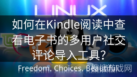 如何在Kindle阅读中查看电子书的多用户社交评论导入工具？