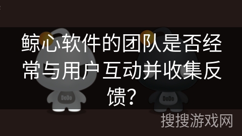 鲸心软件的团队是否经常与用户互动并收集反馈？