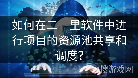 如何在二三里软件中进行项目的资源池共享和调度？