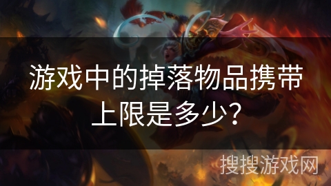 游戏中的掉落物品携带上限是多少？