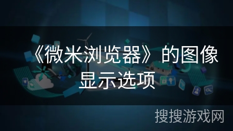 《微米浏览器》的图像显示选项