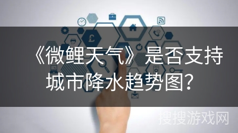 《微鲤天气》是否支持城市降水趋势图？