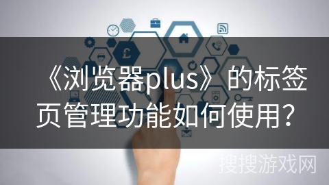 《浏览器plus》的标签页管理功能如何使用？