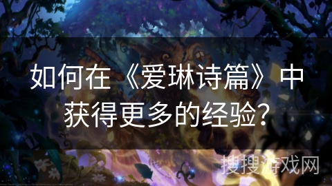 如何在《爱琳诗篇》中获得更多的经验? 如何在《爱琳诗篇》中获得更多的经验?