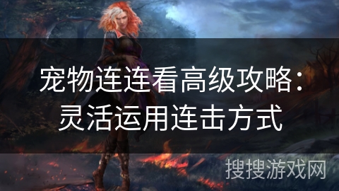 宠物连连看高级攻略：灵活运用连击方式