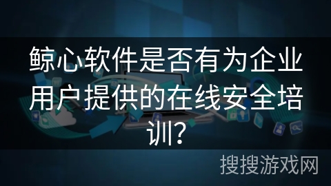 鲸心软件是否有为企业用户提供的在线安全培训？