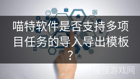 喵特软件是否支持多项目任务的导入导出模板？